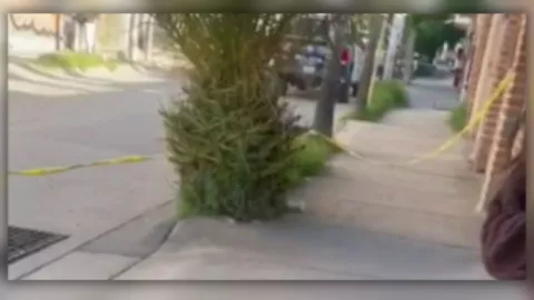 Ataque en Valle de San Pedro