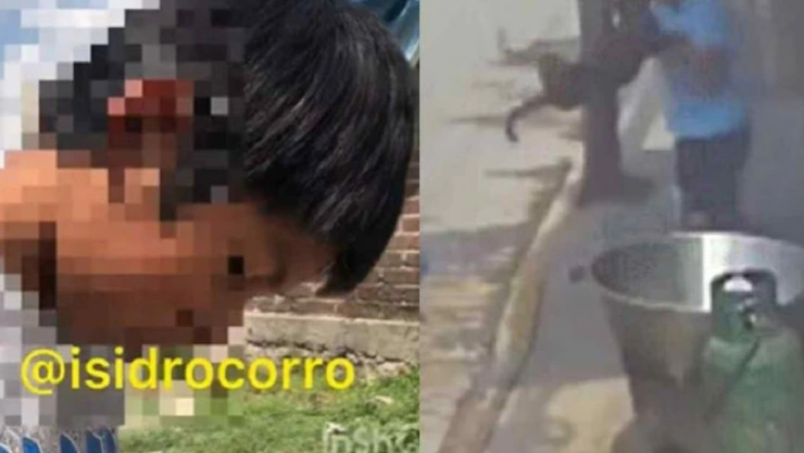 Niño narra cómo vio morir a Scooby