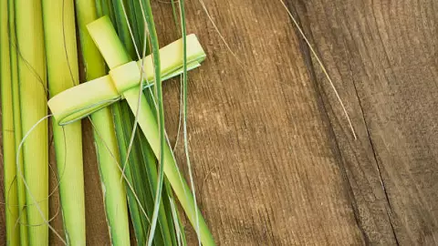 Domingo de Ramos Senana Santa