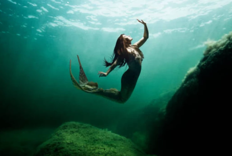 Graban a sirenas en mar de Chile, video viral.png
