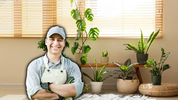 Expertos en jardinería coinciden: esta es la ra razón por la que deberías tener 3 plantas juntas