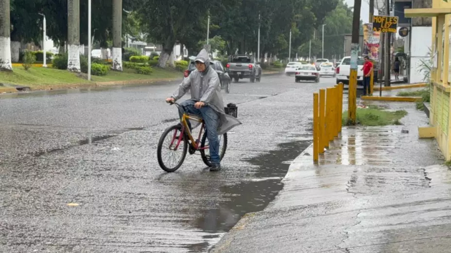 pago pension bienestar 20 noviembre 2024.