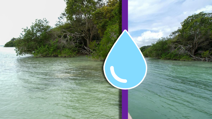 En el Día Mundial del Agua, Quintana Roo refuerza su conservación para el desarrollo y futuro sostenible.webp