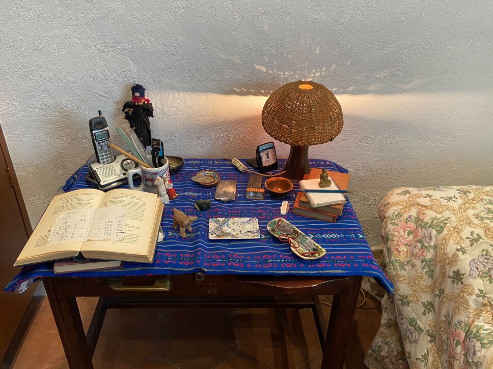 leonora carrington casa