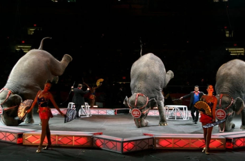 Circo Ringling Bros. and Barnum & Bailey