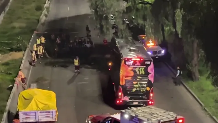 Árbol gigantesco de 30 metros colapsa sobre autobús con pasajeros en la Zaragoza.