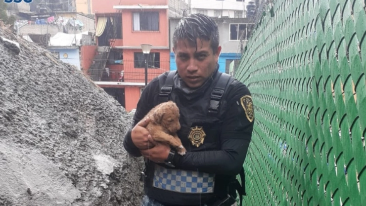 policías perrito Álvaro Obregón