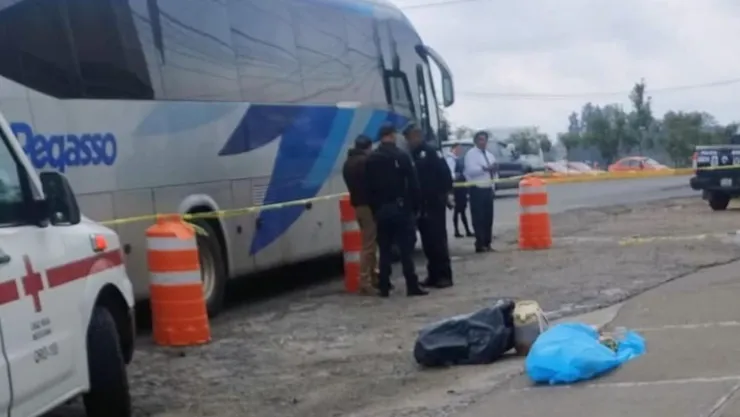 Muerta Amealco.jpg