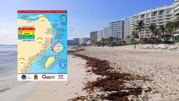 Estas son las playas libres de sargazo HOY 11 de septiembre en Cancún, Tulum, Isla Mujeres y Playa del Carmen