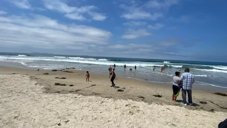 Playas de Tijuana está libre de contaminación