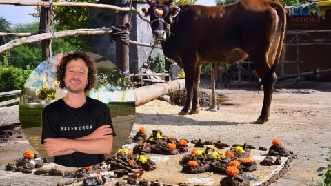 visa Luisito Comunica