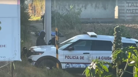 cuerpos en San Aparicio hoy 12 enero 2026