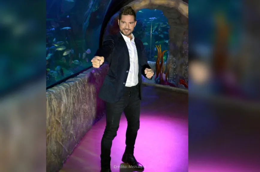 FOTOS | David Bisbal