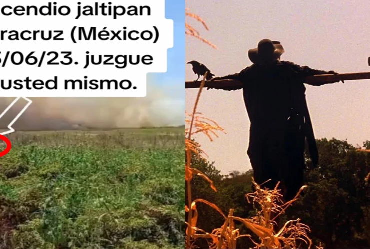 Jeepers Creepers en Veracruz