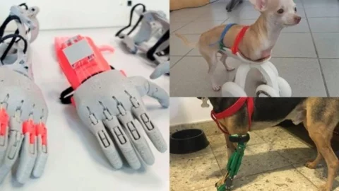 Joven crea gratis prótesis ortopédicas para chicos, adultos y animales