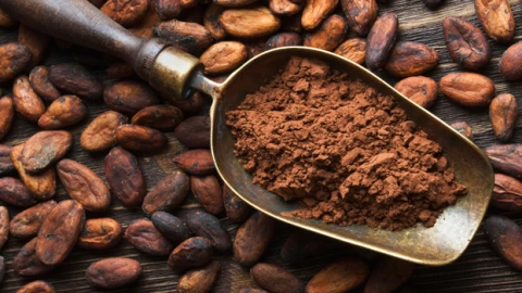 Cacao