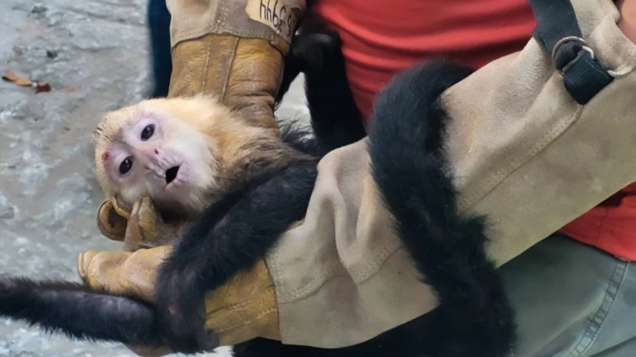 WhatsApp Image 2026-04-06 at 10..jpg