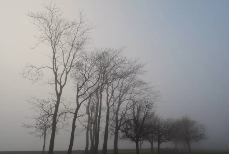 Vientos helados azotan la ciudad de Puebla hoy lunes: Zonas afectadas