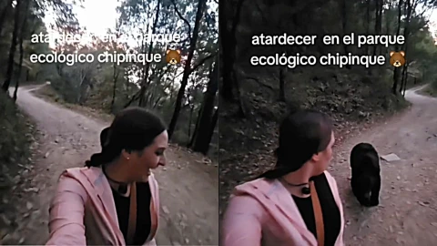 Una mujer hacía ejercicio en Nuevo León y logró escapar de un oso