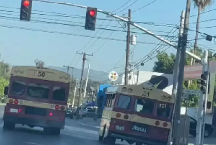 Calafias de Tijuana jugando carreritas