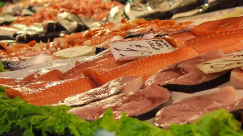pescados venta mercado.jpg
