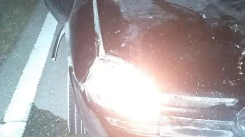 Fuerte accidente por vacas sueltas en Telchac