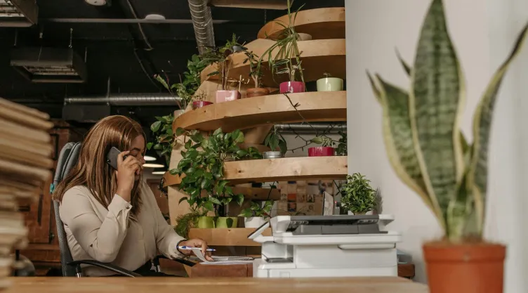 plantas buena suerte oficina.jpg