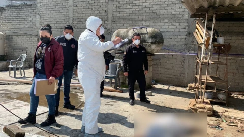 Silver, perrito asesinado en Tlalnepantla, será cremado