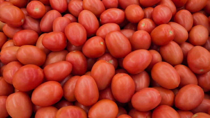 Precio tomate hoy