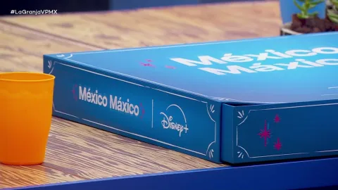 Lotería Disney