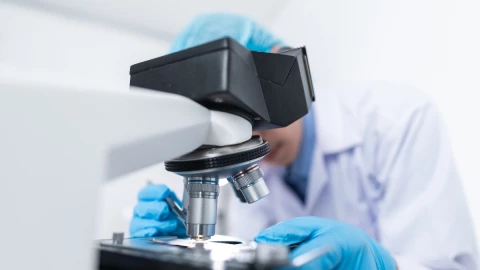 virus del mono espana portugal