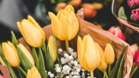 La curiosa razón de regalar flores amarillas el 21 de marzo