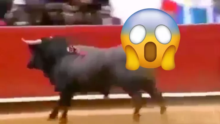 Se cumplen 20 años del vuelo del toro Pajarito en la Plaza de Toros México