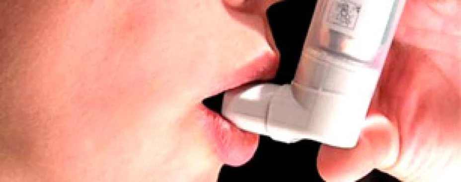 Cucarachas, culpables del asma infantil