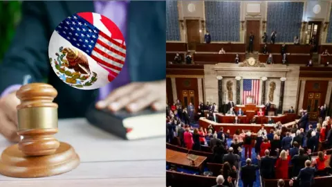 reforma-judicial-en-méxico-senadores-estados-unidos-riesgos-t-mec