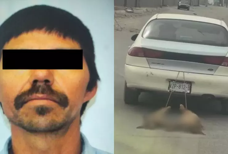 Bernardo “N”, detenido por arrastrar y matar a dos perros con su auto.