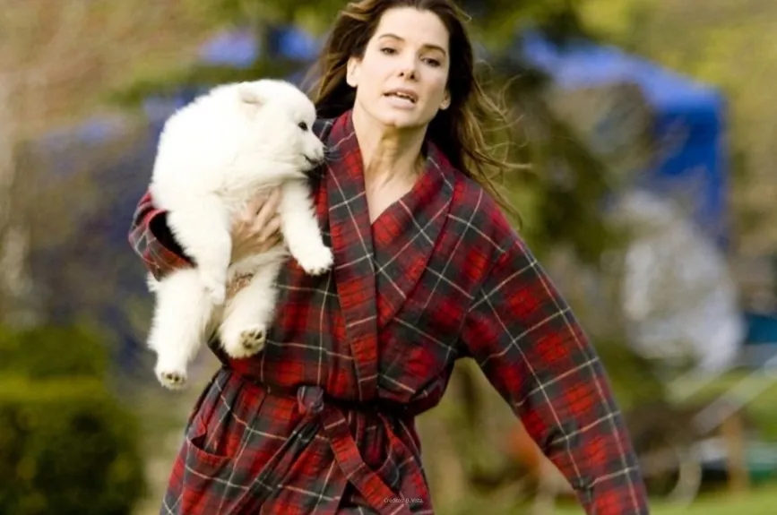 Sandra-Bullock-sus-mejores-películas-cine-Azteca-7-6.jpg