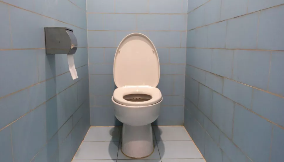 En Liverpool Satélite obligan a empleada a buscar entre basura de papel de baño
