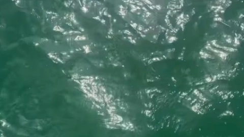 luna de miel christian nodal ángela aguilar