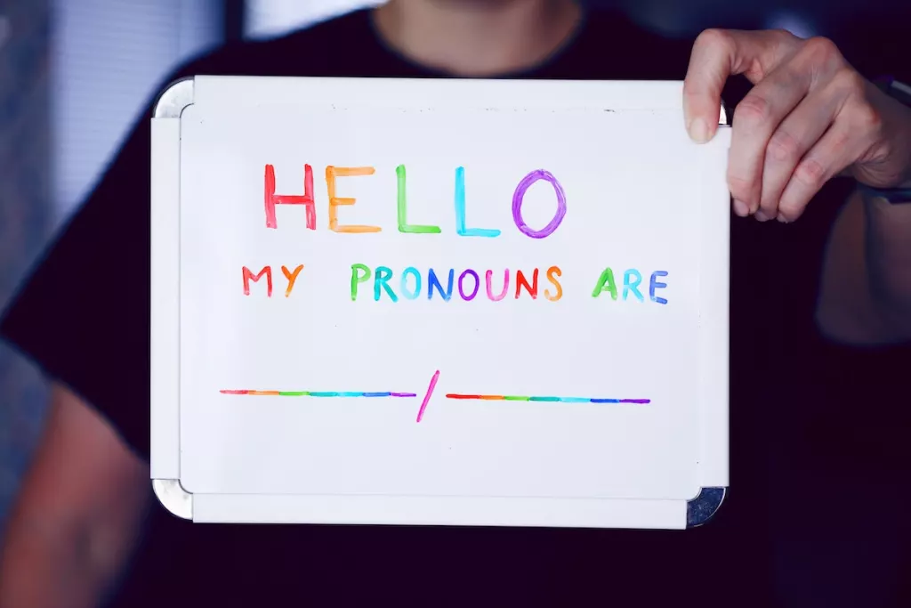 mis pronombres son