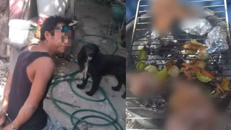 detenido por cocinar al gato de su vecino en Quintana Roo