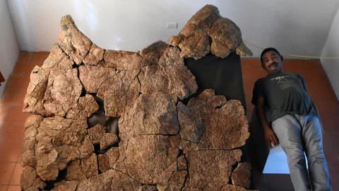 tortuga gigante (2).jpg