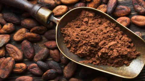 chocolate