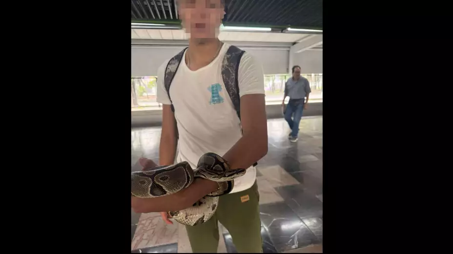 Detenido en el Metro por llevar animales peligrosos.