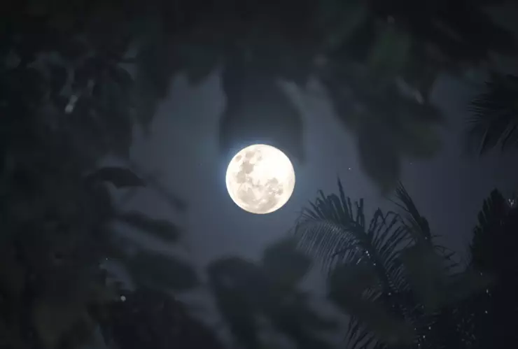 Calendario de eventos astronómicos de agosto 2022(2).jpg