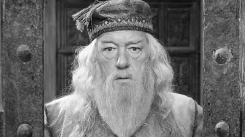 Este 28 de septiembre murió el famoso Michael Gambon, actor de Albus Dumbledore en Harry Potter.