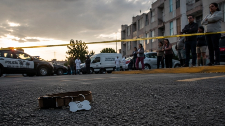 Perro en Valle de Chalco muere tras agresión: sujeto le disparó junto a su dueño