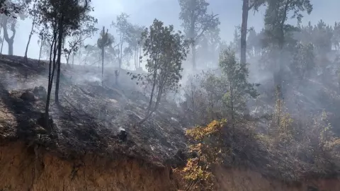 Arde cerro La Joyita en Agostitlán (1).jpeg