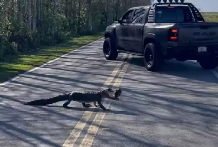 una vista de la sorprendente secuencia en la ruta de Florida