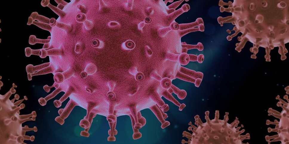 virus enfermedades cuerpo